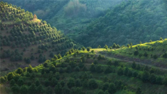 守护舌尖健康洽洽食物全财产链严控洽洽瓜子质